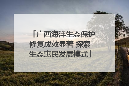 广西海洋生态保护修复成效显著 探索生态惠民发展模式