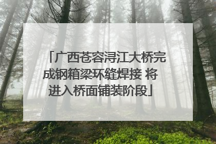 广西苍容浔江大桥完成钢箱梁环缝焊接 将进入桥面铺装阶段