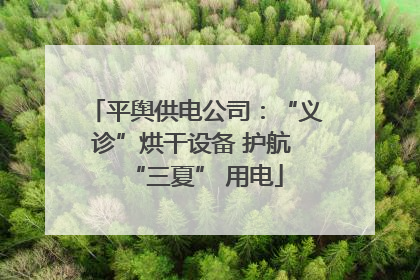 平舆供电公司：“义诊”烘干设备 护航 “三夏” 用电