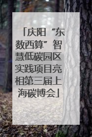 庆阳“东数西算”智慧低碳园区实践项目亮相第三届上海碳博会