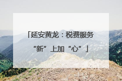 延安黄龙：税费服务“新”上加“心”