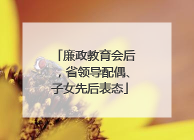 廉政教育会后，省领导配偶、子女先后表态