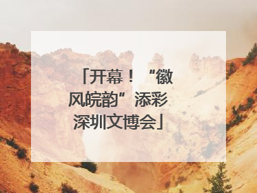 开幕！“徽风皖韵”添彩深圳文博会