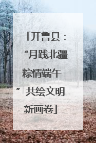 开鲁县：“月践北疆 粽情端午”共绘文明新画卷