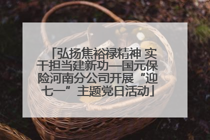 弘扬焦裕禄精神 实干担当建新功—国元保险河南分公司开展“迎七一”主题党日活动