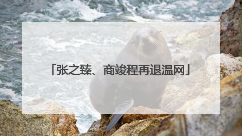 张之臻、商竣程再退温网