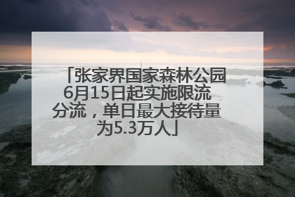 张家界国家森林公园6月15日起实施限流分流，单日最大接待量为5.3万人