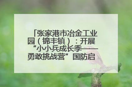 张家港市冶金工业园（锦丰镇）：开展“小小兵成长季——勇敢挑战营”国防启蒙教育活动