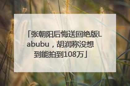 张朝阳后悔送回绝版Labubu，胡润称没想到能拍到108万