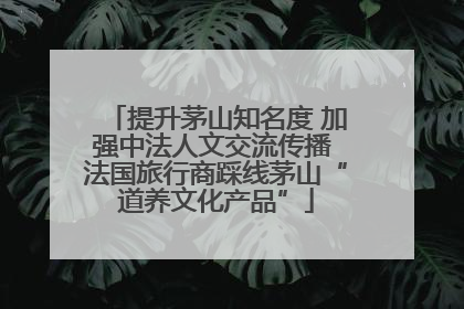 提升茅山知名度 加强中法人文交流传播 法国旅行商踩线茅山“道养文化产品”