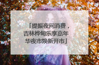 提振夜间消费，吉林桦甸乐享嘉年华夜市焕新开市