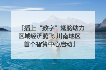 插上“数字”翅膀助力区域经济腾飞 川南地区首个智算中心启动
