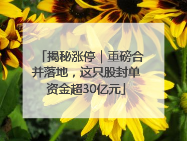 揭秘涨停｜重磅合并落地，这只股封单资金超30亿元
