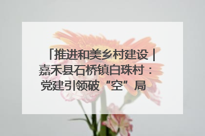 推进和美乡村建设｜嘉禾县石桥镇白珠村：党建引领破“空”局 乡贤聚力绘就新图景