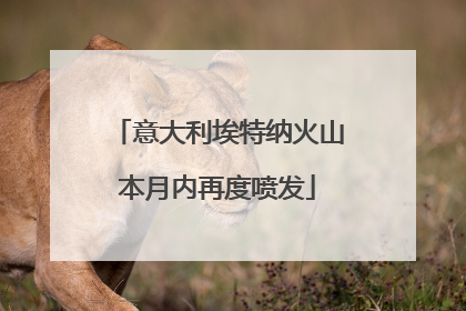 意大利埃特纳火山本月内再度喷发