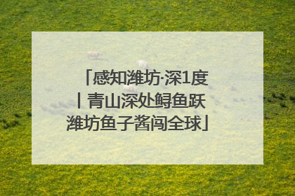 感知潍坊·深1度丨青山深处鲟鱼跃 潍坊鱼子酱闯全球