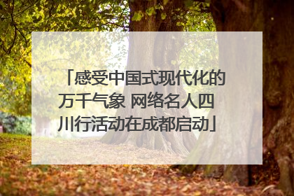 感受中国式现代化的万千气象 网络名人四川行活动在成都启动
