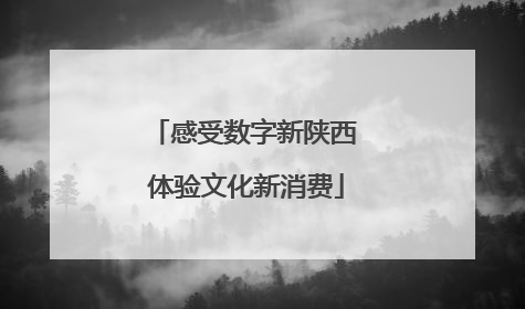 感受数字新陕西 体验文化新消费
