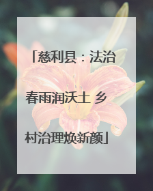 慈利县：法治春雨润沃土 乡村治理焕新颜