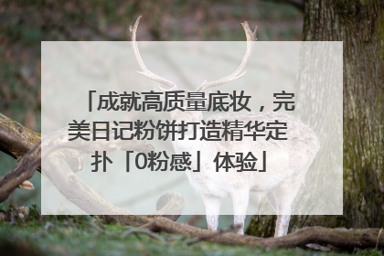 成就高质量底妆，完美日记粉饼打造精华定扑「0粉感」体验
