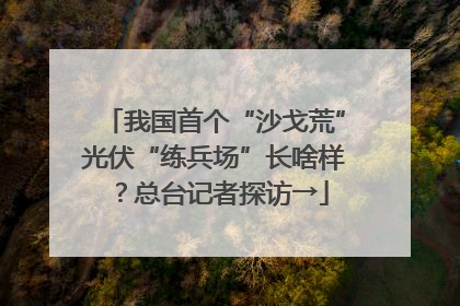我国首个“沙戈荒”光伏“练兵场”长啥样？总台记者探访→