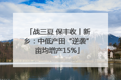战三夏 保丰收丨新乡：中低产田“逆袭” 亩均增产15%