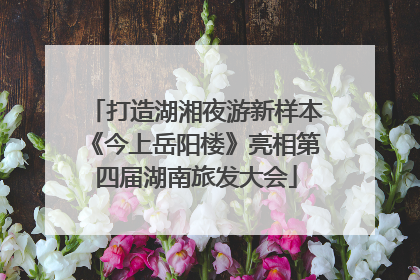 打造湖湘夜游新样本《今上岳阳楼》亮相第四届湖南旅发大会