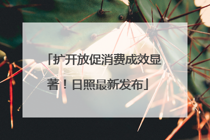 扩开放促消费成效显著！日照最新发布