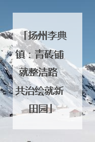 扬州李典镇：青砖铺就整洁路 共治绘就新田园
