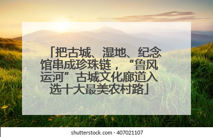 把古城、湿地、纪念馆串成珍珠链，“鲁风运河”古城文化廊道入选十大最美农村路