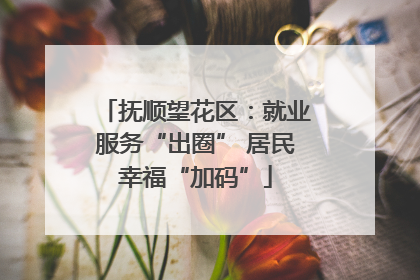 抚顺望花区：就业服务“出圈” 居民幸福“加码”