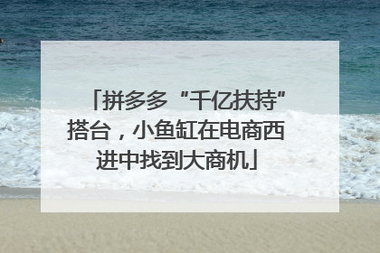 拼多多“千亿扶持”搭台，小鱼缸在电商西进中找到大商机