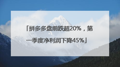 拼多多盘前跌超20%，第一季度净利润下降45%