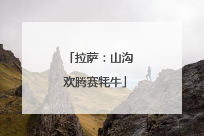 拉萨：山沟欢腾赛牦牛
