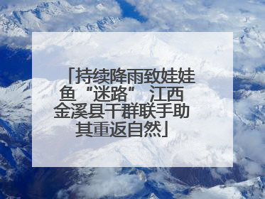 持续降雨致娃娃鱼“迷路” 江西金溪县干群联手助其重返自然