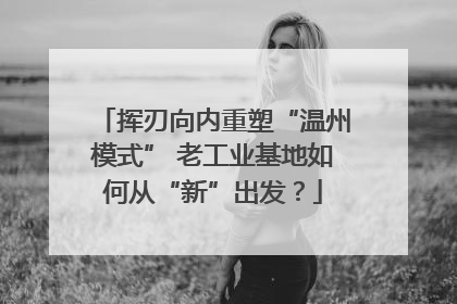 挥刃向内重塑“温州模式” 老工业基地如何从“新”出发？
