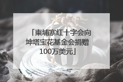 柬埔寨红十字会向坤塔宝花基金会捐赠100万美元