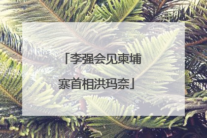 李强会见柬埔寨首相洪玛奈