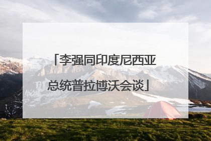 李强同印度尼西亚总统普拉博沃会谈