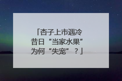 杏子上市遇冷 昔日“当家水果”为何“失宠”？