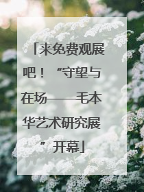来免费观展吧！“守望与在场——毛本华艺术研究展”开幕
