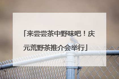 来尝尝茶中野味吧！庆元荒野茶推介会举行