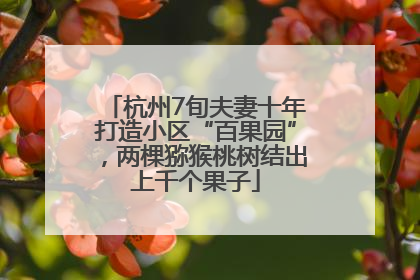 杭州7旬夫妻十年打造小区“百果园”，两棵猕猴桃树结出上千个果子