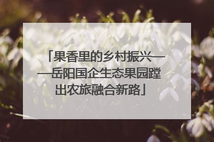 果香里的乡村振兴——岳阳国企生态果园蹚出农旅融合新路