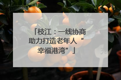 枝江：一线协商助力打造老年人“幸福港湾”