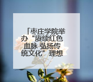 枣庄学院举办“赓续红色血脉 弘扬传统文化”理想信念教育培训班