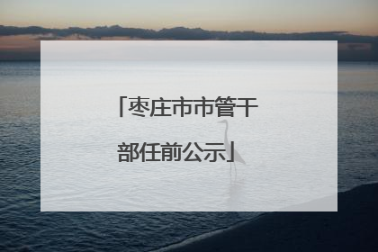 枣庄市市管干部任前公示