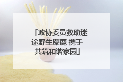 政协委员救助迷途野生麋鹿 携手共筑和谐家园