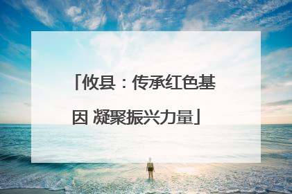 攸县：传承红色基因 凝聚振兴力量