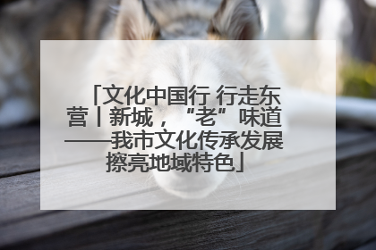 文化中国行 行走东营丨新城，“老”味道——我市文化传承发展擦亮地域特色